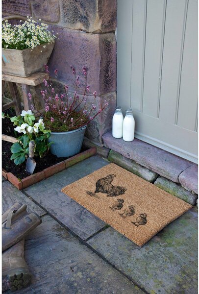 Wycieraczka z włókna kokosowego 40x60 cm Chickens and Chicks – Artsy Doormats