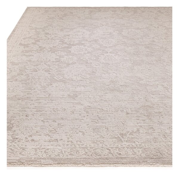 Beżowy dywan 240x320 cm Laurent Beige Natural – Asiatic Carpets