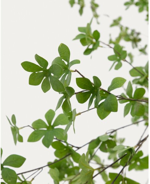 Sztuczna roślina (wysokość 214 cm) Enkianthus – Kave Home