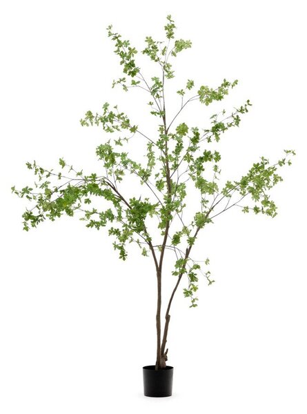 Sztuczna roślina (wysokość 214 cm) Enkianthus – Kave Home