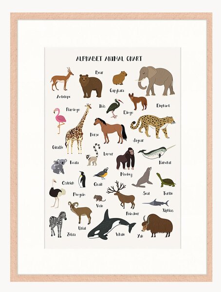Oprawiony druk cyfrowy Alphabet Animal Chart, różne rozmiary