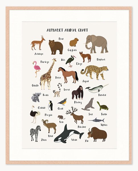 Oprawiony druk cyfrowy Alphabet Animal Chart, różne rozmiary