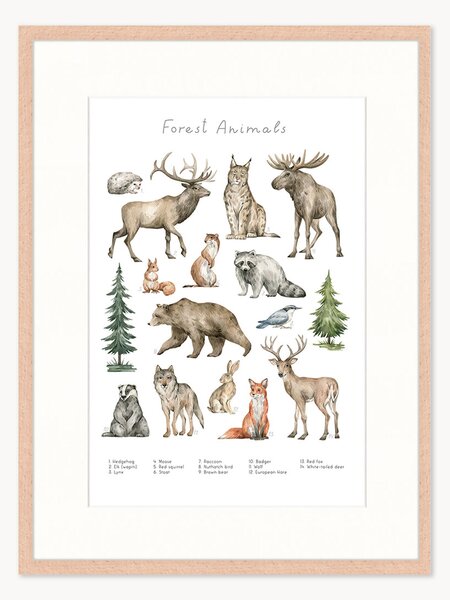 Oprawiony druk cyfrowy Forest Animals, różne rozmiary