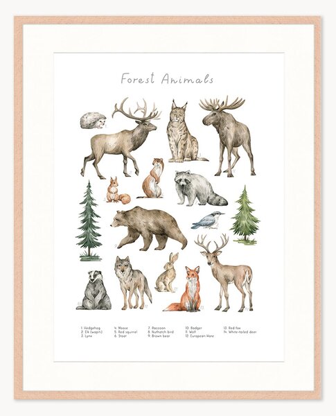 Oprawiony druk cyfrowy Forest Animals, różne rozmiary
