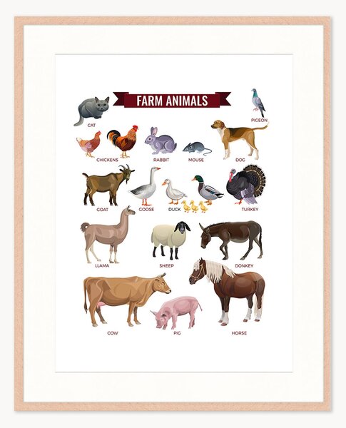 Oprawiony druk cyfrowy Farm Animals, różne rozmiary