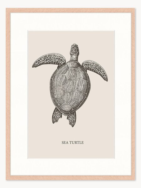 Oprawiony druk cyfrowy Sea Turtle, różne rozmiary