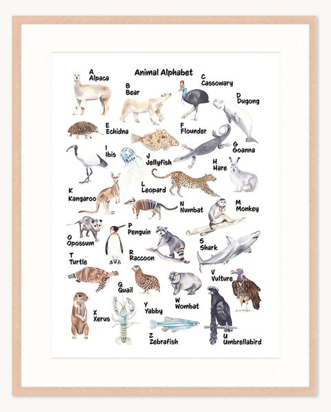 Oprawiony druk cyfrowy Animal Alphabet, różne rozmiary