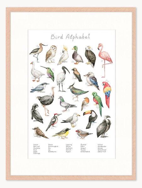 Oprawiony druk cyfrowy Bird Alphabet, różne rozmiary