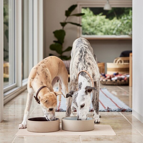 Miska dla psów ceramiczna ø 17 cm Sia – OYOY Living Design