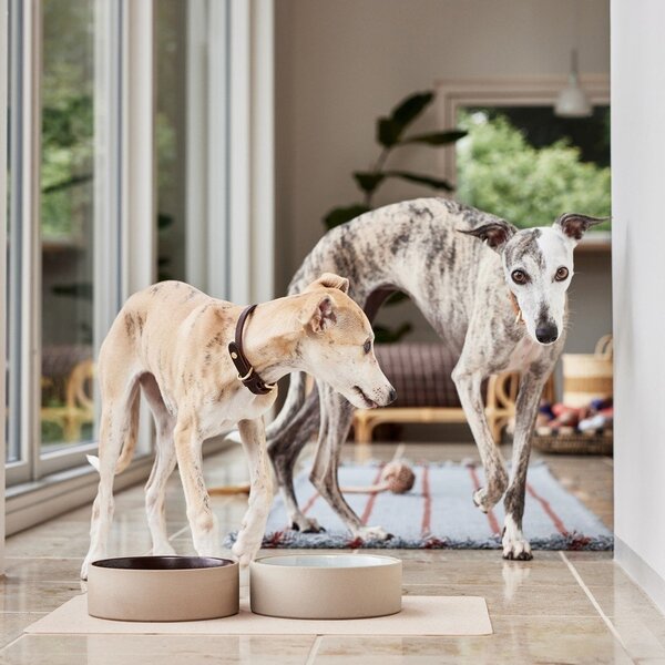 Miska dla psów ceramiczna ø 17 cm Sia – OYOY Living Design
