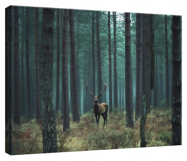 Obraz Na Płótnie Las Zielony Do Sypialni Salonu 60x40
