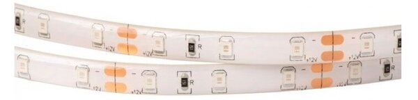 Taśma LED 300 4.8W/m zielona 12V IP63 5m ściemnialna wodoodporna Ecolight
