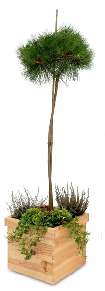 ČistéDřevo Drewniana kwadratowa doniczka 32 × 32 × 25 cm