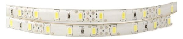 Taśma LED 300 19W/m 6500K 1550lm/m 12V IP63 5m ściemnialna wodoodporna Ecolight
