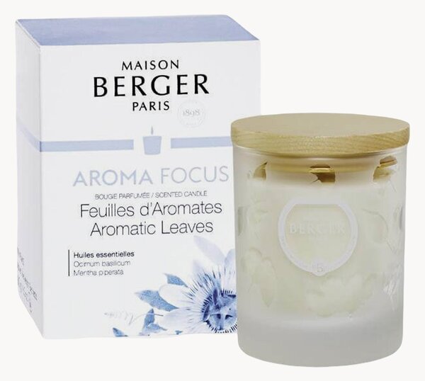 Świeca zapachowa Aroma Focus (mięta pieprzowa, bazylia)