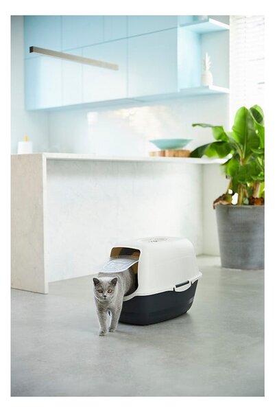 Kuweta dla kota 56x40 cm Eco Bailey – Rotho