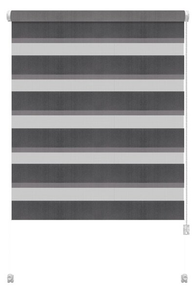 Ciemnoszara roleta dzień i noc 42,5x150 cm Zebra – Gardinia