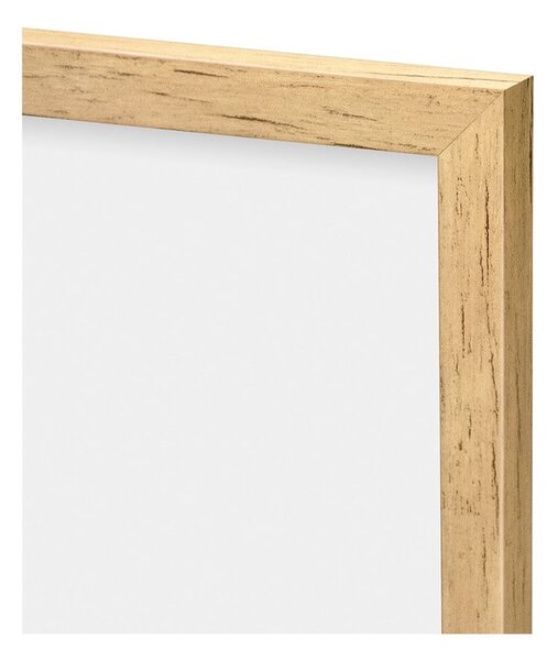 Obrazy zestaw 6 szt. 32x32 cm – knor