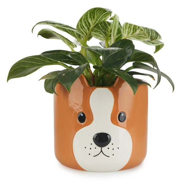 Ceramiczna doniczka ø 13,5 cm Woof – Balvi