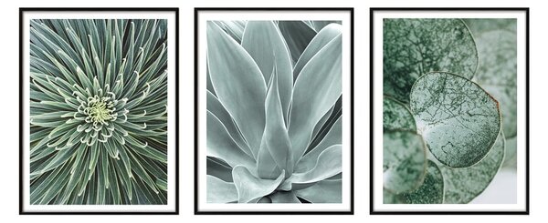 Obrazy zestaw 3 szt. 30x40 cm – knor