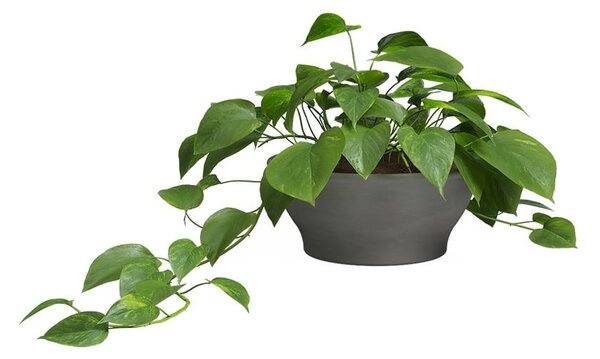 Terakotowa doniczka ø 23 cm Saramago – Artevasi