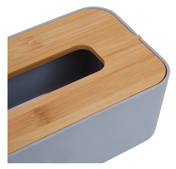 Plastikowy pojemnik na chusteczki Canyon – Premier Housewares