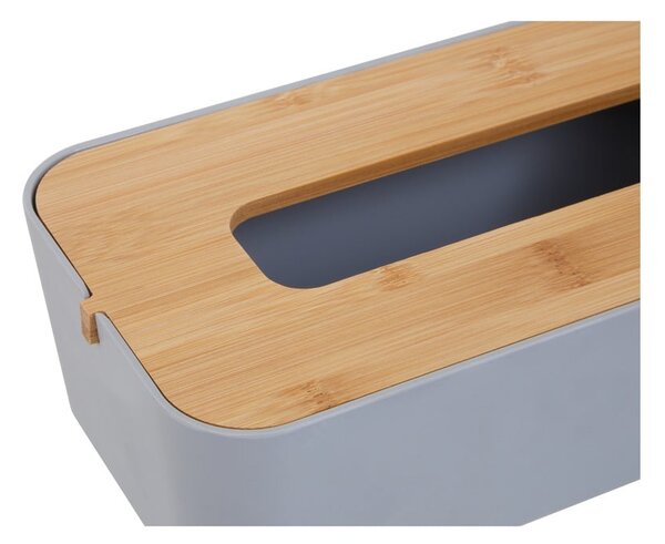 Plastikowy pojemnik na chusteczki Canyon – Premier Housewares