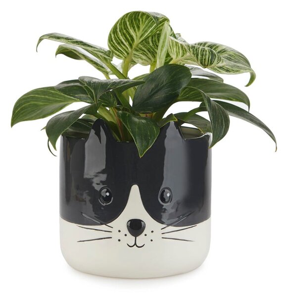 Ceramiczna doniczka ø 13,5 cm Kitty – Balvi