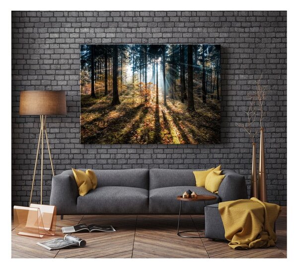 Obraz Styler Glasspik Autumn Sunset, 70x100 cm