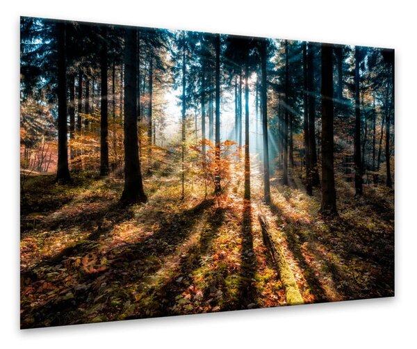Obraz Styler Glasspik Autumn Sunset, 70x100 cm