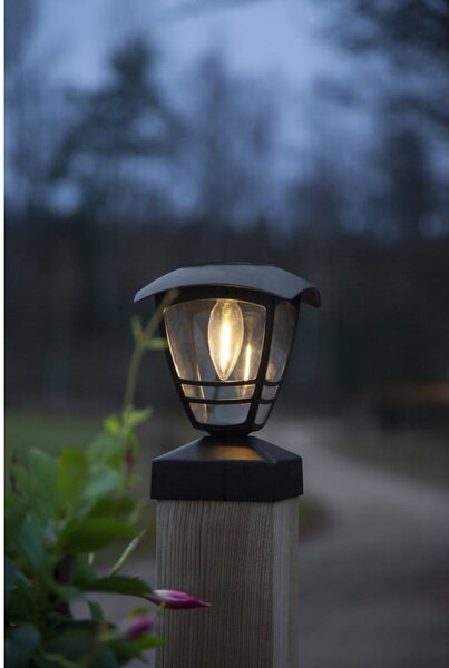 Ogrodowa lampa solarna LED Star Trading Felix, wys. 19 cm