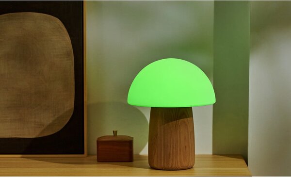 Naturalna lampa stołowa ze ściemniaczem i szklanym kloszem (wys. 32 cm) Alice – Gingko