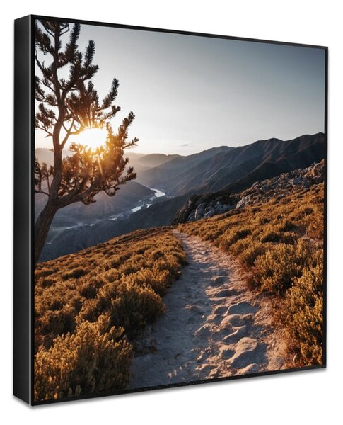 Obraz 50x50 cm Mountain Path
