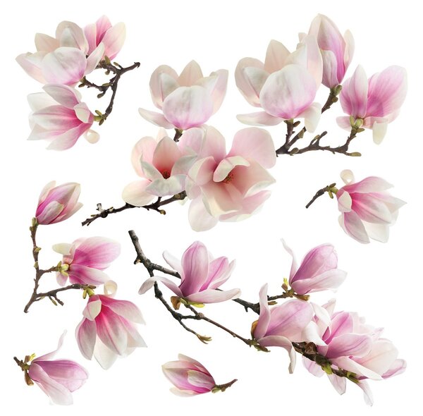 Dekoracja samoprzylepna Sakura, 30 x 30 cm