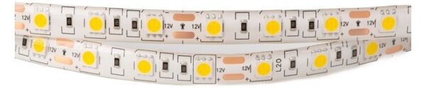 Taśma LED 300 14.4W/m 4000K 800lm/m 12V IP63 5m ściemnialna wodoodporna Ecolight