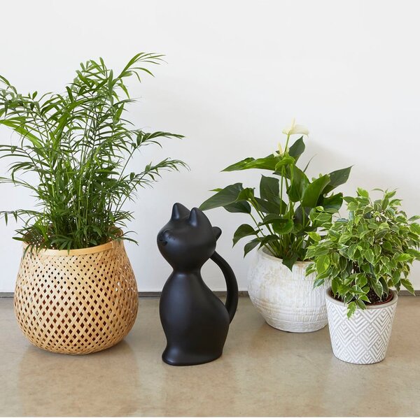Plastikowa konewka 2 l Meow – Balvi