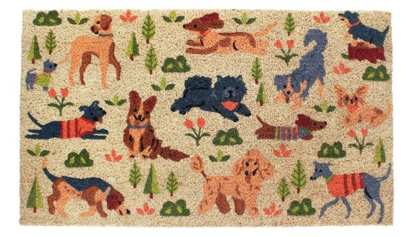 Wycieraczka z włókna kokosowego 73x43 cm Dog Park – Rex London