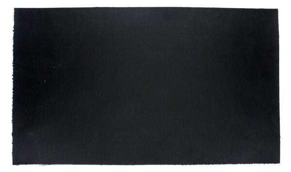 Wycieraczka z włókna kokosowego 73x43 cm Dog Park – Rex London