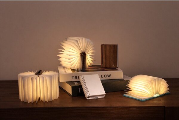 Dekoracja świetlna na USB w naturalnym kolorze BookLight – Gingko