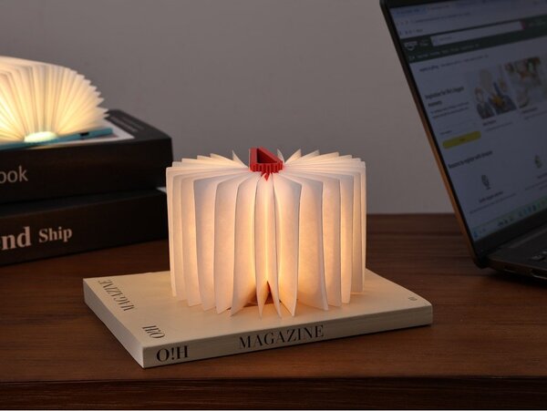 Dekoracja świetlna na USB w naturalnym kolorze BookLight – Gingko