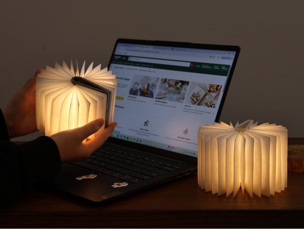Dekoracja świetlna na USB w naturalnym kolorze BookLight – Gingko