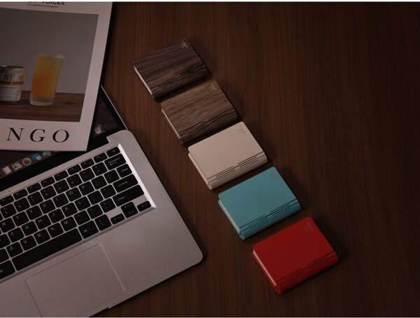 Dekoracja świetlna na USB w naturalnym kolorze BookLight – Gingko