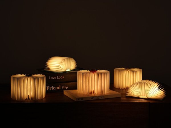 Dekoracja świetlna na USB w naturalnym kolorze BookLight – Gingko