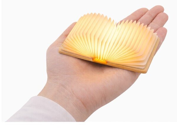 Dekoracja świetlna na USB w naturalnym kolorze BookLight – Gingko