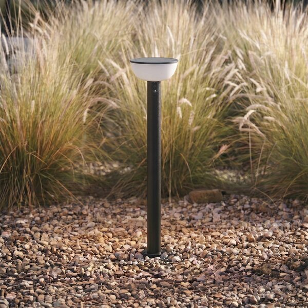 Lampa ogrodowa LED z zasilaniem słonecznym Lindby Obintu, czarna, 63 cm, Obintu Lindby, możliwość ściemniania, czarny, metal, nowoczesny