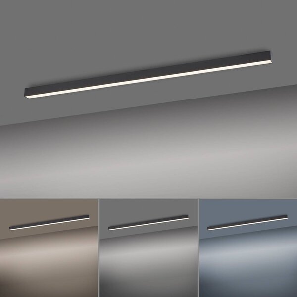PURE Lampa sufitowa LED Lines Straight, możliwość ściemniania, czarny, salon / jadalnia, aluminium, nowoczesny