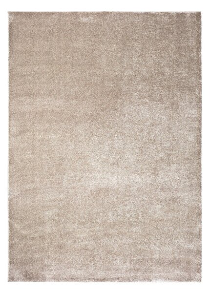 Szary/beżowy dywan 80x150 cm – Universal