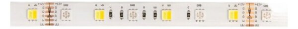 Taśma LED 300 14.4W/m RGB+CCT 12V IP20 5m ściemnialna Ecolight