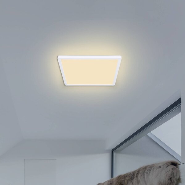 Globo Lampa sufitowa LED Sapana, możliwość ściemniania, biały / opal, salon / jadalnia, tworzywo sztuczne, nowoczesny