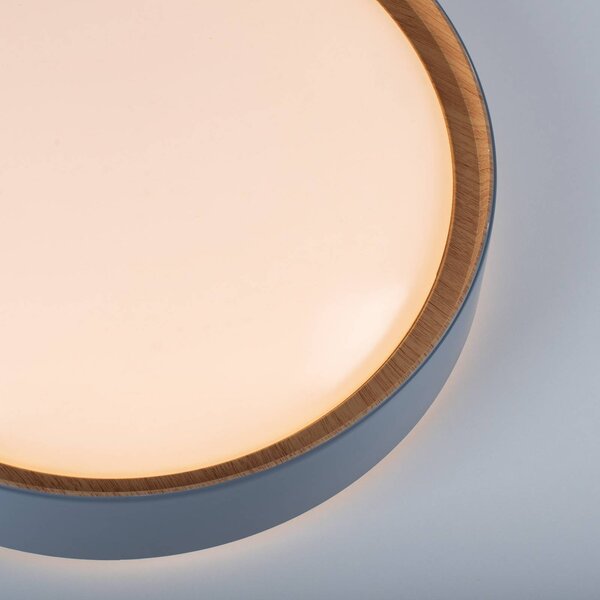 JUST LIGHT. GmbH Lampa sufitowa LED Emilia, możliwość ściemniania, aluminiowy / szary / cynkowy, salon / jadalnia, metal, nowoczesny